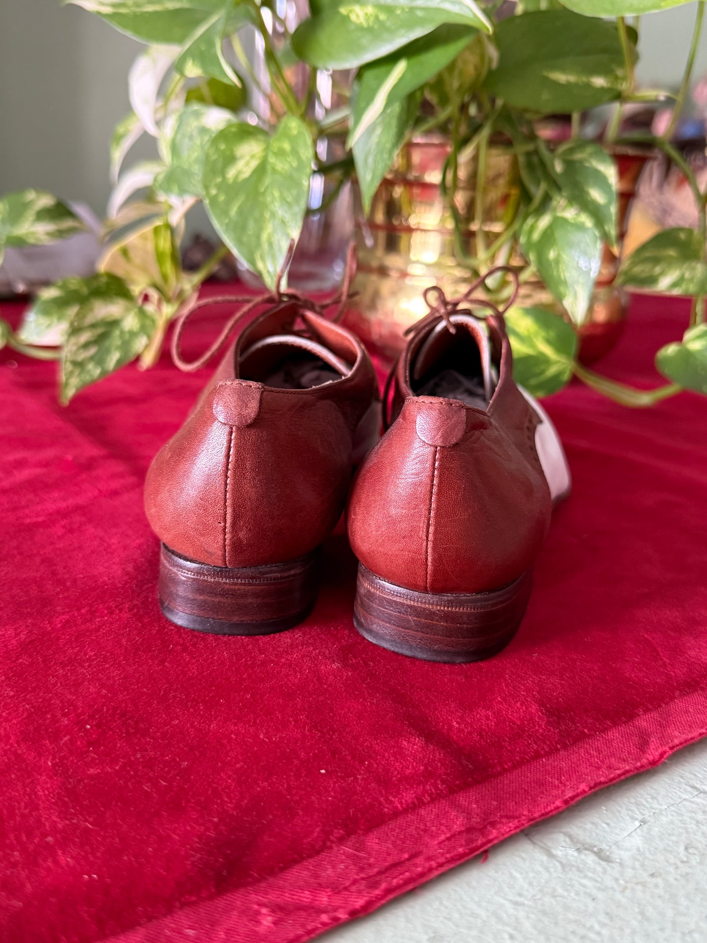 Scarpe stringate bicolore - NR. 35