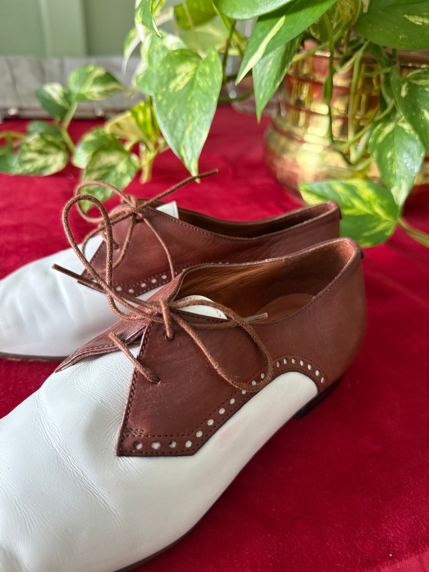 Scarpe stringate bicolore - NR. 35