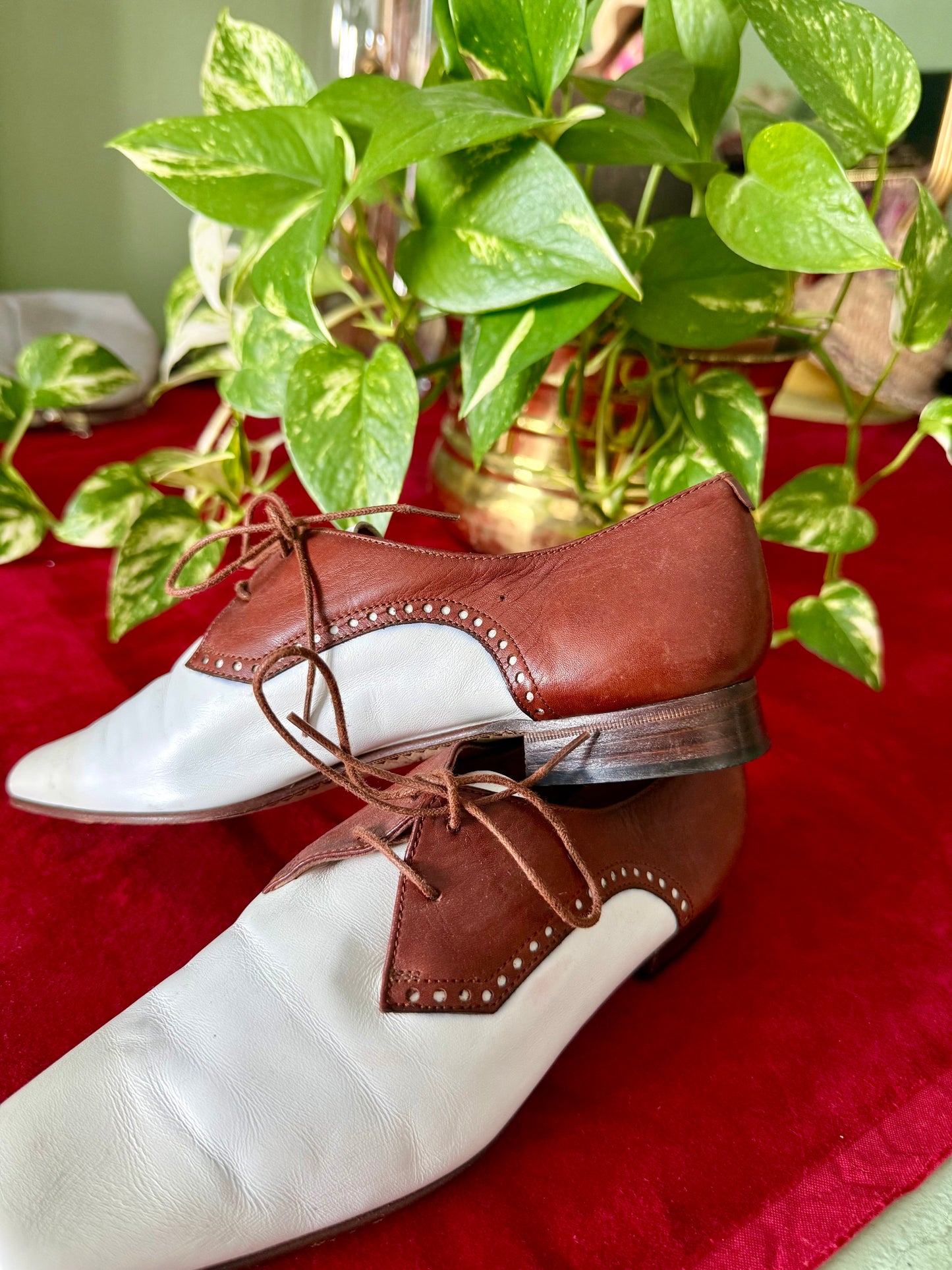 Scarpe stringate bicolore - NR. 35