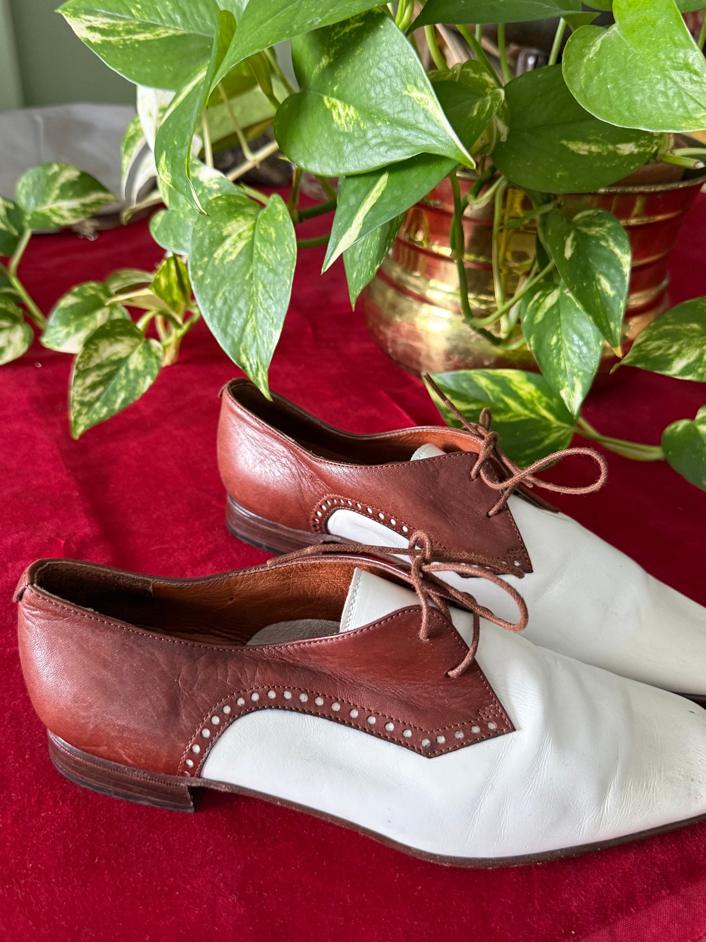 Scarpe stringate bicolore - NR. 35