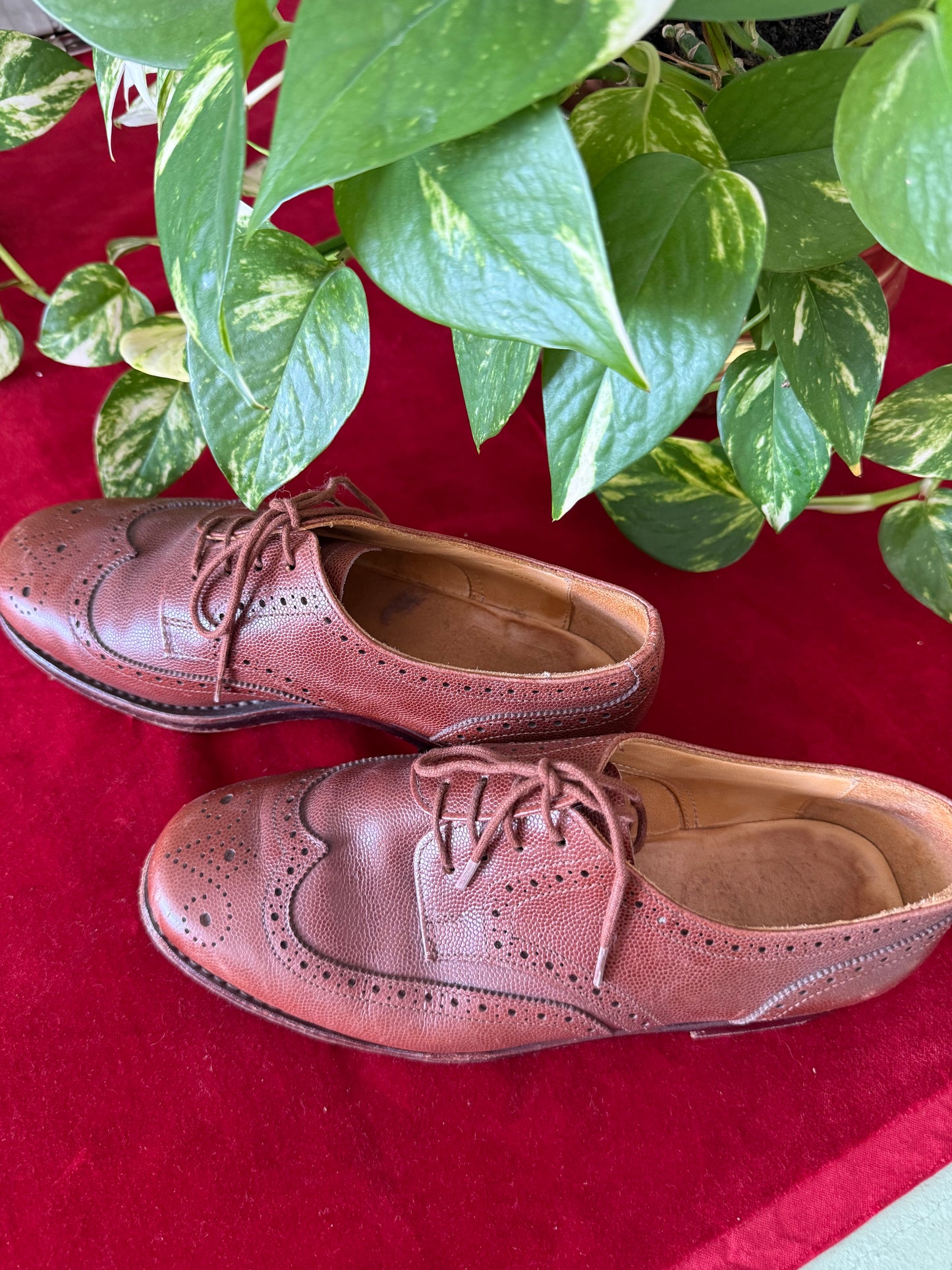 Stringate Brogue in Vera Pelle - NR. 36.5